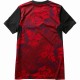 ��CANTERBURY�� ���󥿥٥꡼ ���󥰥��� ����ե��å� T����� 2019-20 �饰�ӡ� RG30390