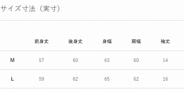 CANTERBURYۥ󥿥٥꡼ 硼ȥ꡼ ܥå饰ӡ㡼 ǥ 饰ӡ Ⱦµ饬 S/S BOX RUGBY JERS WA31192