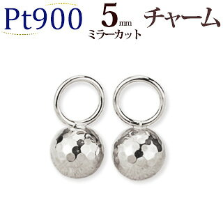 Pt5mmߥ顼åȥ㡼ʼ̿աץԥ