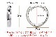 Pt���ޤ켰�ա��ץԥ���(10mm�饦���)(sar10pt)