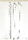 K18WG塼ͥå쥹45cm1.4mmե꡼饤ɣʡ