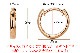 K18PG�����ޤ켰�ա��ץԥ���(10mm�饦���)(sar10pg)