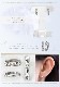 Pt���ޤ켰������ա��ץԥ���(12mm�饦��ɡ����꡼���ȡ���)(sb0032pt)