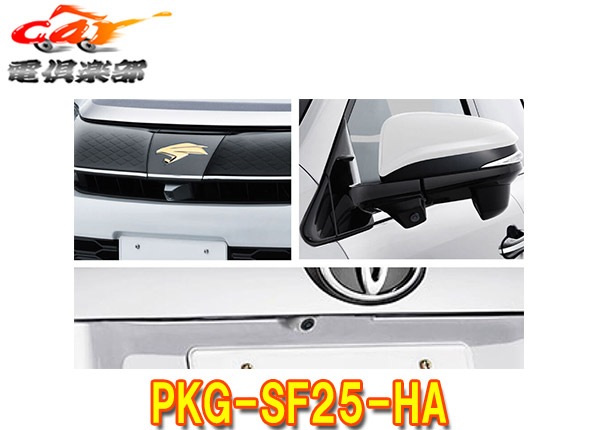 �ڼ���ʡۥ���ѥ���PKG-SF25-HA�ϥꥢ��60��(H29/6��)���ѥե���ȥ������ե�����3����饻���եƥ����ѥå�����(�֥�å�)