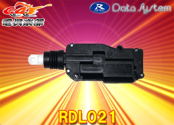 �ڼ���ʡۥǡ��������ƥ�RDL021��⥳��ɥ����å�(RDL275���꡼��)�ѥɥ����å��⡼����2������������