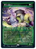 (JPN)(���硼������) Ĵ�¤ο����(NEO) �С��쥢��MTG�� NM