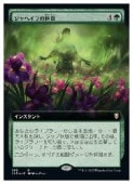 (JPN)(��ĥ������)(FOIL) ����إ���ε�©(CLB) �С��쥢��MTG�� NM