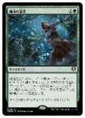 (JPN) ����ν���(CMM) �С��쥢��MTG�� NM