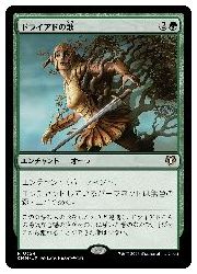 JPN) ドライアドの歌(CMM) 緑◇レア【MTG】 NM｜マジック・ザ