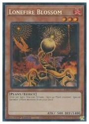 ローンファイアブロッサム 英語 CP07 スーパー ローンファイア