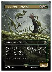 JPN)(ボーダーレス)(FOIL) コンプソグナトゥスの大群(REX) 多◇レア