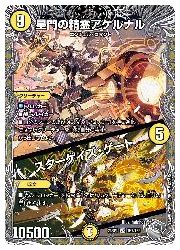 黄(DM23RP4) 星門の精霊アケルナル/スターゲ(宝箱銀)(VR)(TR7/TR9