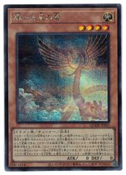 輝ける星の竜(S)(QCDB-JP003)◇シークレットレア【遊戯王】 NM｜遊戯王 