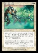 (JPN)(FOIL)(����) ����̤�ϩ(RVR) ����쥢��MTG�� NM