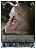 (BAV) ���ޥ����� (�Хˡ�������)(SR)(W112-120S)��SR�ڥ����������������ġ� NM