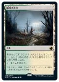 (JPN) ���Ф�����(MID) �ϡ��쥢��MTG�� NM