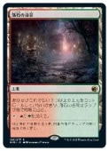 (JPN) ���Ф�ë��(MID) �ϡ��쥢��MTG�� NM
