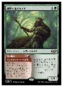 (JPN) õ������ɥ륤��(WOE) �С��쥢��MTG�� NM