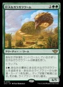 (ENG)(FOIL) ����ʥ��饬����(OTJ) �С��쥢��MTG�� NM
