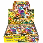 ��������åȡ��Х�����å� ��ĥ�ѥå� �磻��ɥե�������BOX�ڥݥ���󥫡��ɥ������