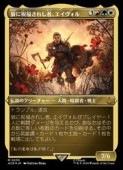 (ENG)(FOIL) ���å��󥰻���)ϵ�˽�ʡ���줷�ԡ�����������(ACR) ¿�����å쥢��MTG�� NM