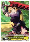 (HBR) ���������� ���� �����ǥ�ϥ���(SR)(W117-022S)��SR�ڥ����������������ġ� NM