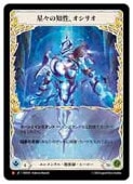 (JPN)ꥪ[M](ROS019)FLESH AND BLOOD NM