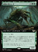 (ENG)(ĥ) ˲Ȥ(DSC) С쥢MTG NM
