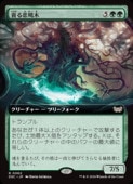 (ENG)(ĥ) Ť(DSC) С쥢MTG NM