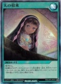 Сŷξ(SR)(RD/LGP2-JP073)ͷ åǥ奨 NM