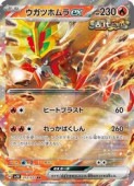 sv5Kۡĥۥex(RR)(012/071)RRڥݥ󥫡ɥ NM