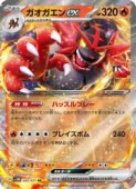 sv5Mۡex(RR)(022/071)RRڥݥ󥫡ɥ NM