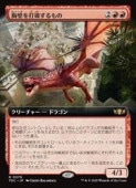 (JPN)(��ĥ������) ���ɤ����ˤ�����(TDC) �֡��쥢��MTG�� NM