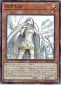 򤭲(NP)(SD47-JP002)Ρޥѥͷ NM