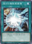 ǤӤ(N)(SD47-JP024)Ρޥͷ NM