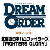 ĥ֡ ̳ƻܥϥեFIGHTERS GLORY BOX ץ奫ɥ DREAM ORDER