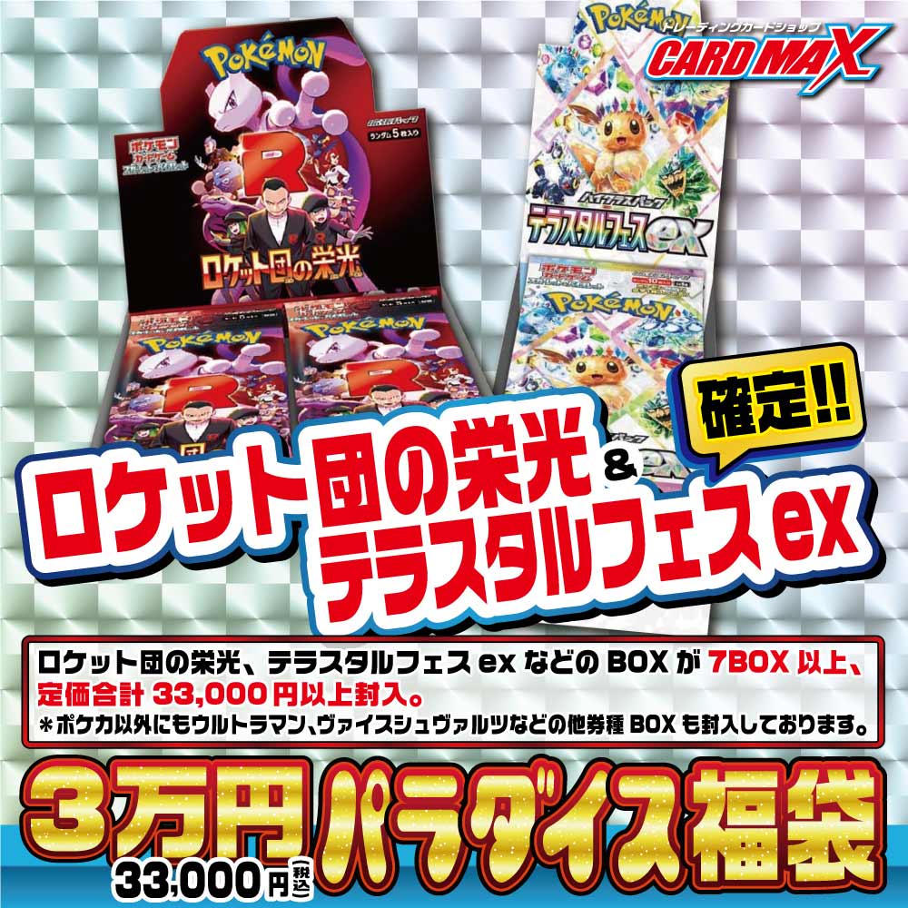 み*か様 ロケット団の栄光4箱、テラスタルフェスex4箱