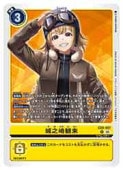 (EX09) Ƿ(R)(EX09-067)ڥǥ󥫡ɥ NM