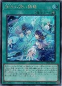 Ͷ(S)(TTP1-JP070)åȥ쥢ͷ NM