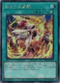 β(S)(TTP1-JP067)åȥ쥢ͷ NM