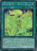 -¤路Ļ(S)(TTP1-JP071)åȥ쥢ͷ NM