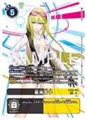 (BT22) �볤�ɻ�(SEC)(BT22-101)���ڥǥ���󥫡��ɥ������ NM