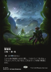 MTG EOE 繁殖池 ボーダーレス ギャラクシーFoil 日本語 JPN)(ボーダーレス)(ギャラクシーFOIL) 繁殖池(0373)(EOE) 地