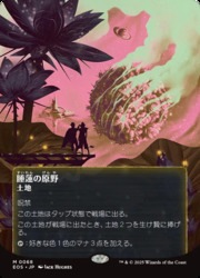 【MTG 霊気走破 ショーケース 神話レア foil】光輝の睡蓮 MTG 霊気走破 ショーケース 神話レア foil】光輝の睡蓮 Foil