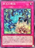 ̿��������(S)(DOOD-JP079)����������åȥ쥢��ͷ������ NM