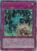 ̿��������(A)(DOOD-JP079)������ƥ���åȥ쥢��ͷ������ NM