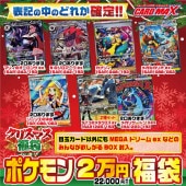 2025ǯ ���ꥹ�ޥ��ݥ���� Ķ���2���� ʡ�ޡڥݥ���󥫡��ɥ������