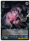 (PJS) �̤����ؤ�ͥ������ ������(SR)(S125-101SR)��SR�ڥ����������������ġ� NM