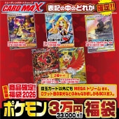 2026ǯ ���եݥ���� Ķ���3���� ʡ�ޡڥݥ���󥫡��ɥ������