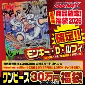 2026ǯ ���ե��ԡ��� ��ե�����30���� ʡ�ޡڥ��ԡ�����